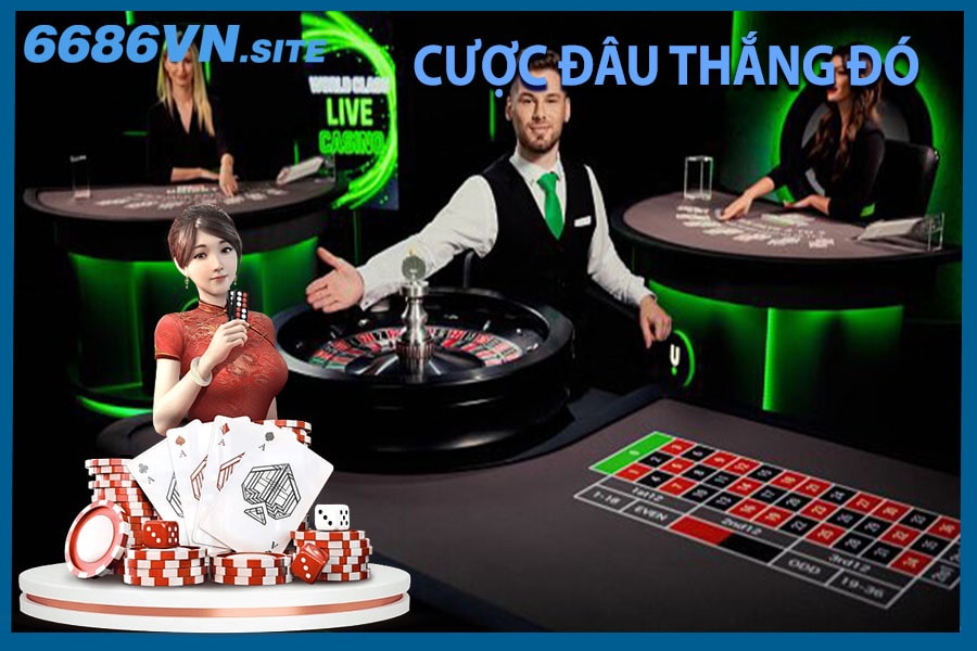 Nâng cao tỷ lệ chiến thắng khi tham gia live casino 